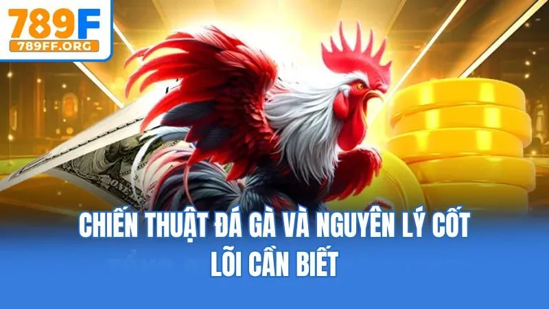 Chiến thuật đá gà và nguyên lý cốt lõi cần biết