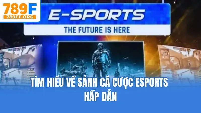 Tìm hiểu về sảnh cá cược Esports hấp dẫn
