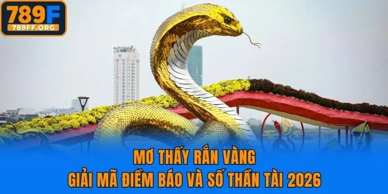 Mơ Thấy Rắn Vàng - Giải Mã Điềm Báo Và Số Thần Tài 2026